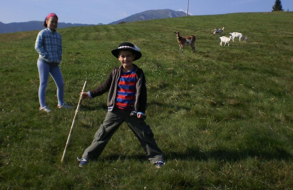 Penzion Deny Ždiar エクステリア 写真